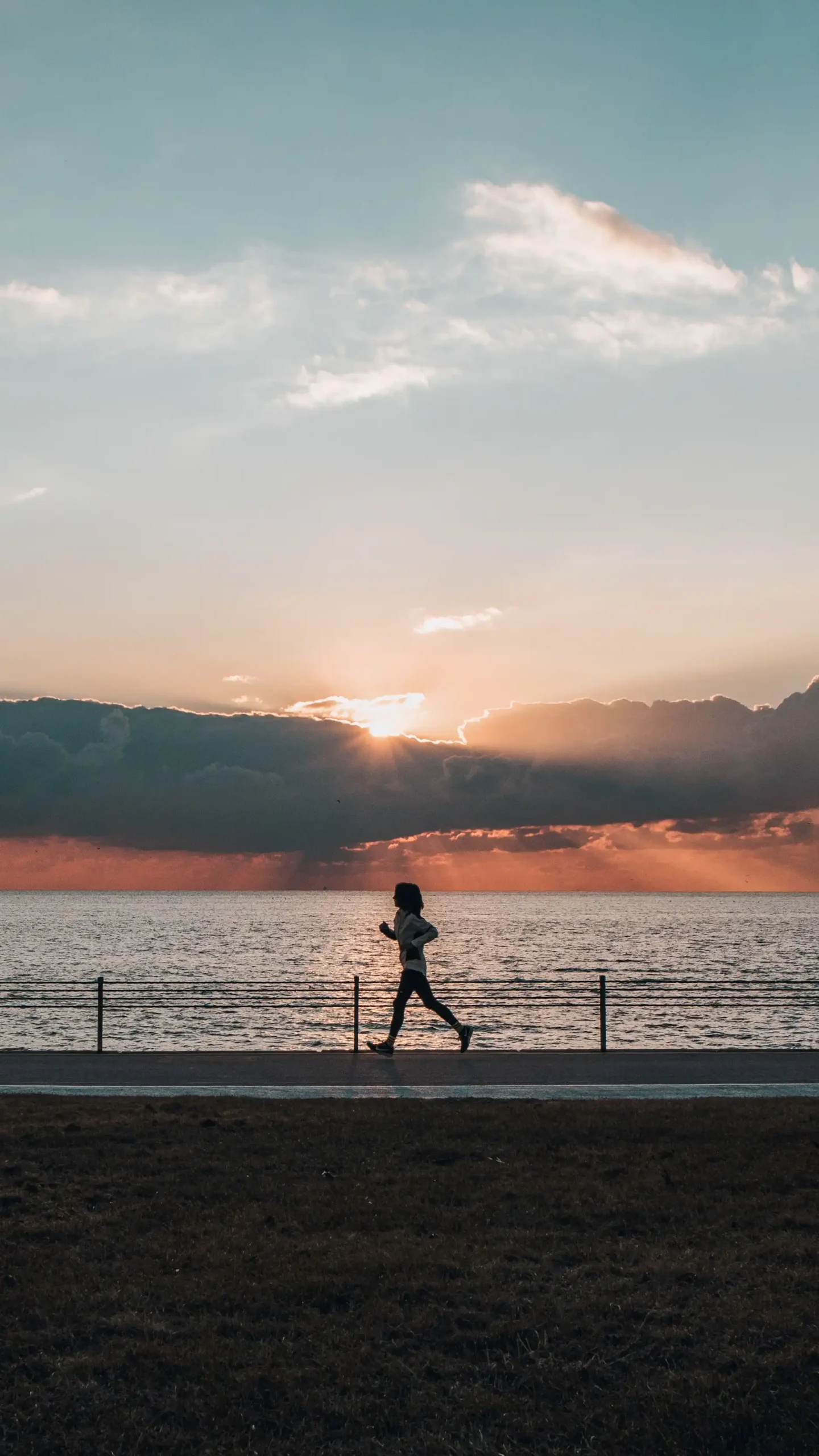Beginner Cardio Workouts: Simple Exercises to Improve Heart Health and Burn Fat